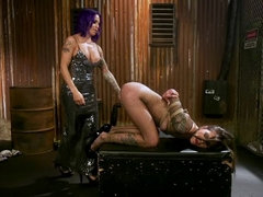 TS Foxxy And Kacie Castle's Back-Alley Butt Fuck