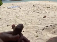 Beach, Crazy, Dick, Fetish, Flashing, Huge, Milf, Voyeur