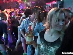 Club, Dancing, Erotic, Hd, Orgy, Party, Softcore, Son