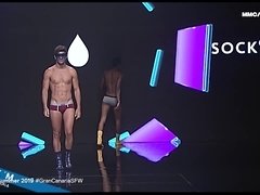 Homo, Slipje, Softcore pornografie