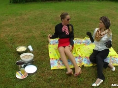 Messing Up A Perfectly Good Picnic