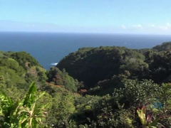 You do plenty of hand holding on the road to Hana